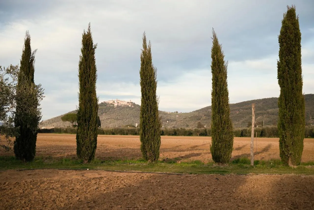 Guadalupe Tuscany Resort Braccagni 0*,